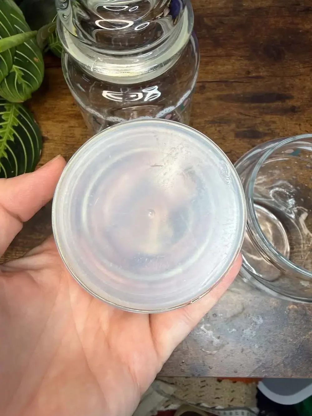 Vintage 1988 CHD Glass Canister Jars with Kitty Cat and Rose Design (Set of 2)